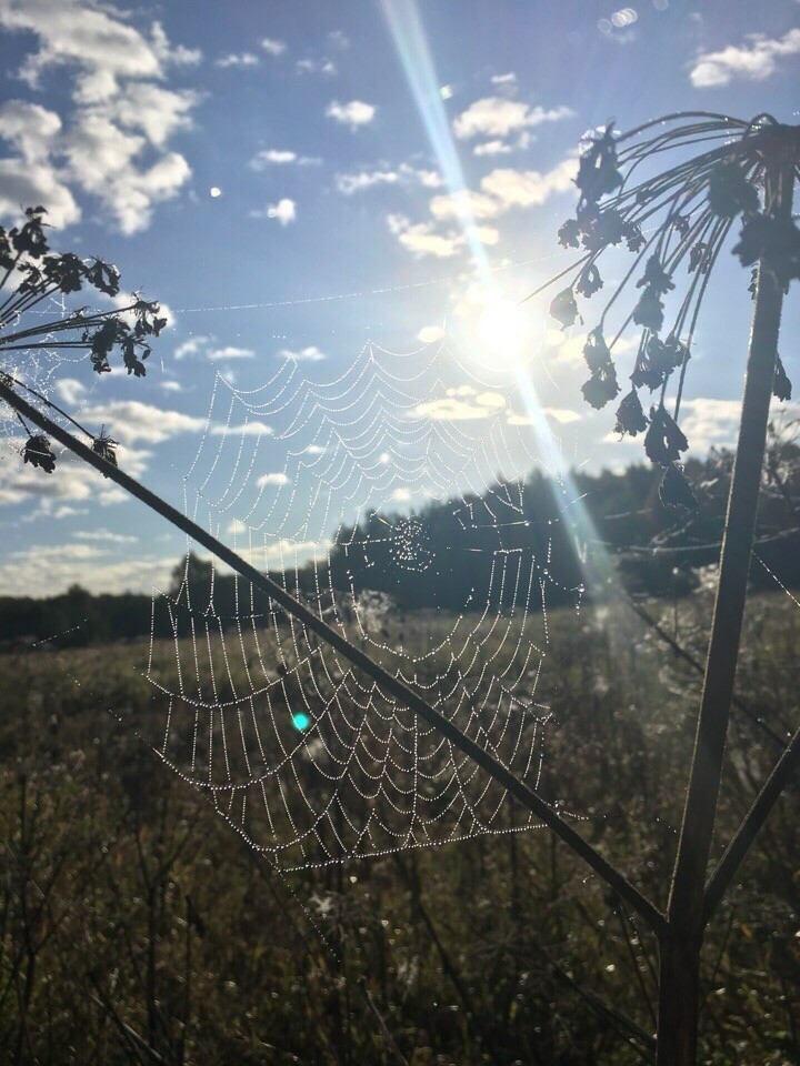 осень