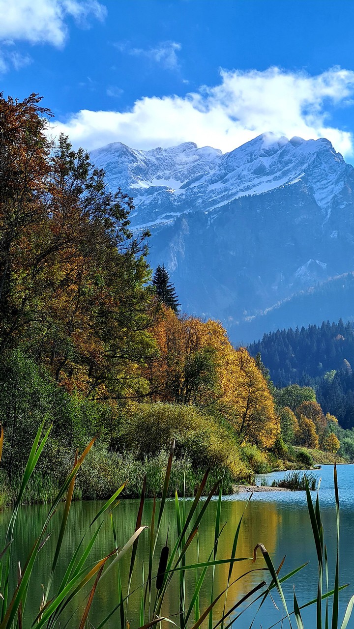Autumn landscape