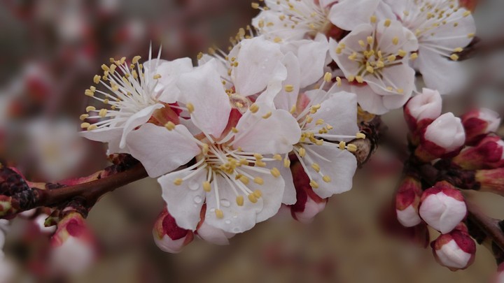 Taken by Z3+