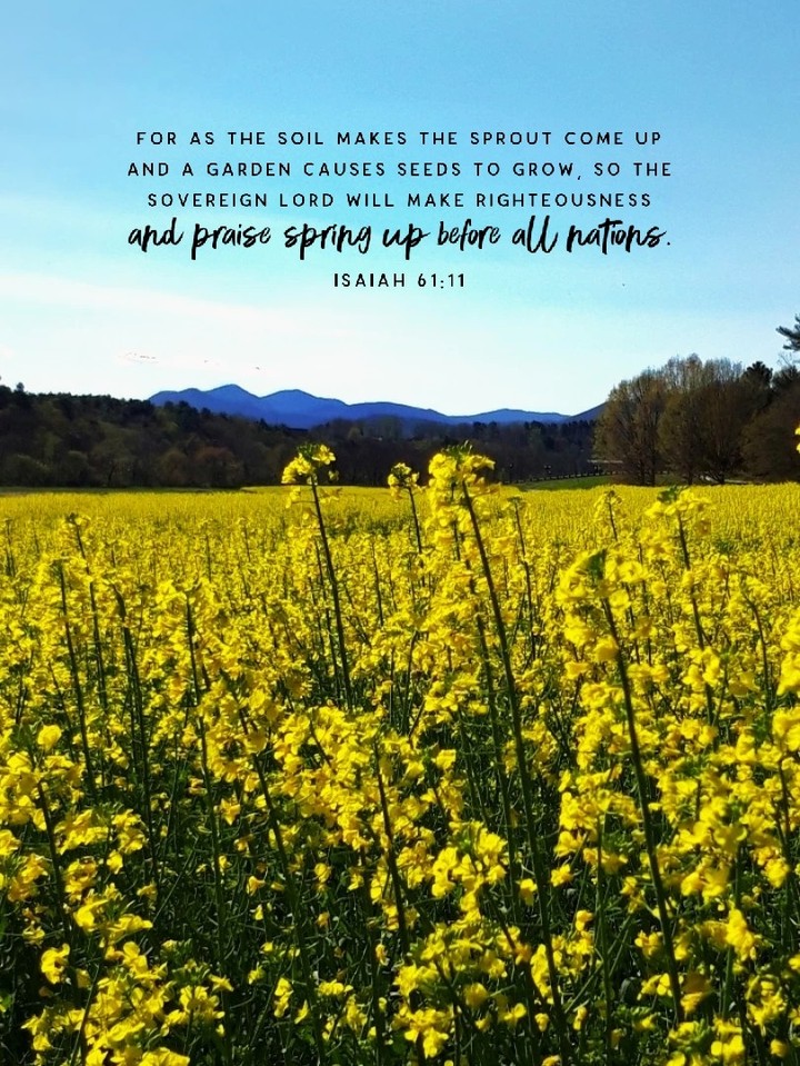 Isaiah 61:11