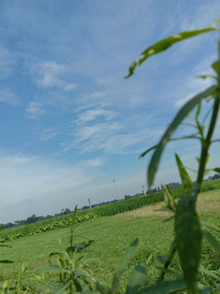 sky