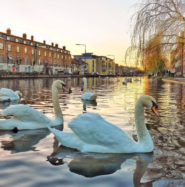 Dublin