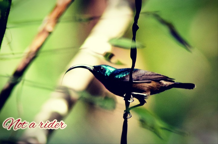 just a click