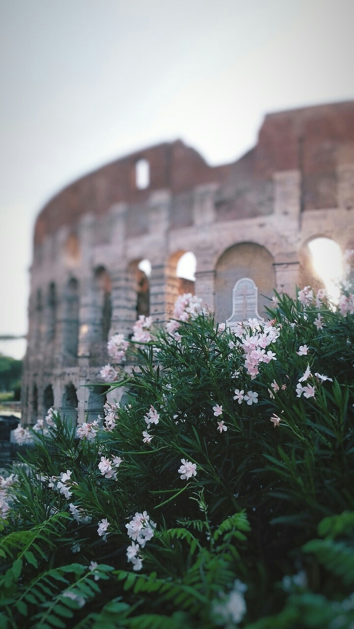 Rome