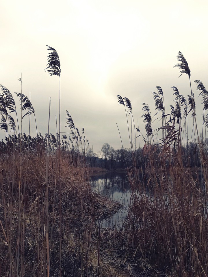 river