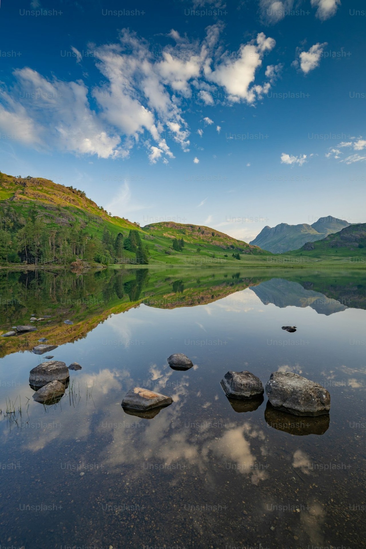 обои highland, hill