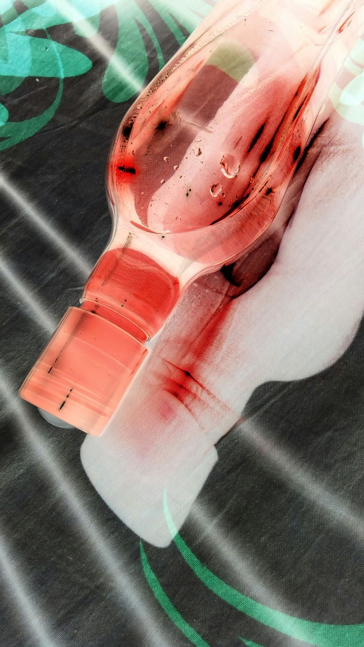 Bottle