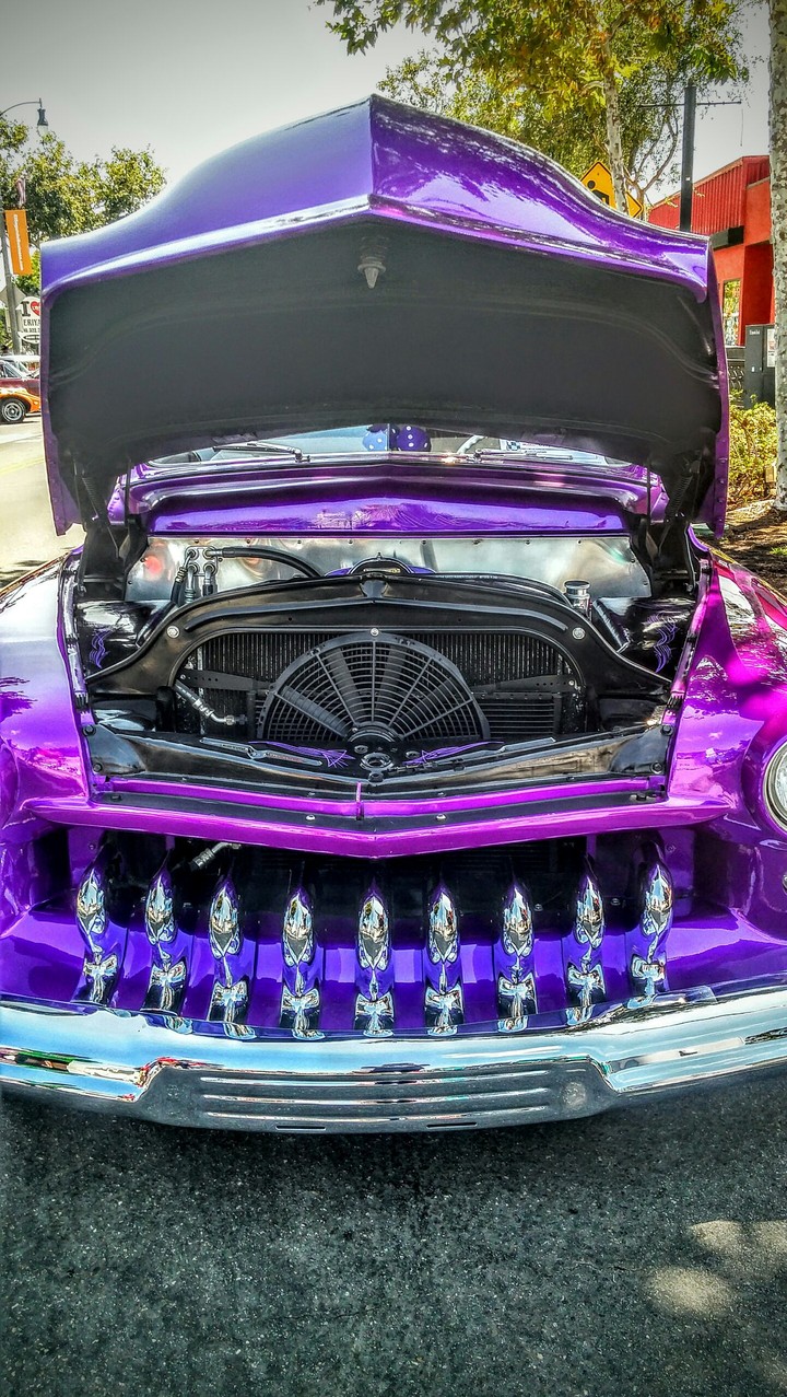 Purple Hood
