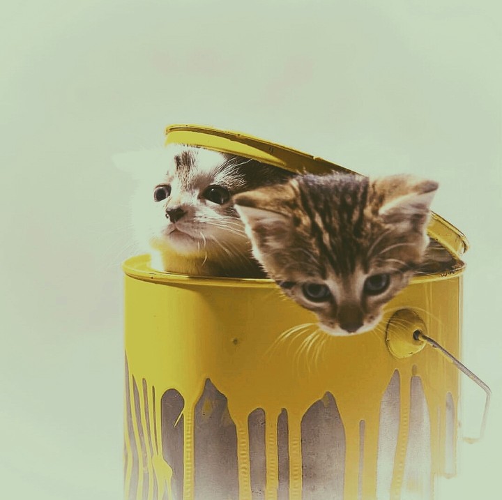cute