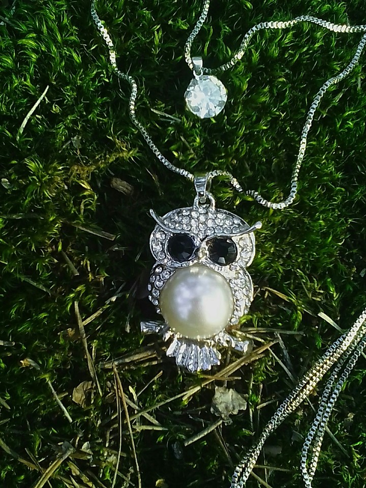 Jewelry "Owl"