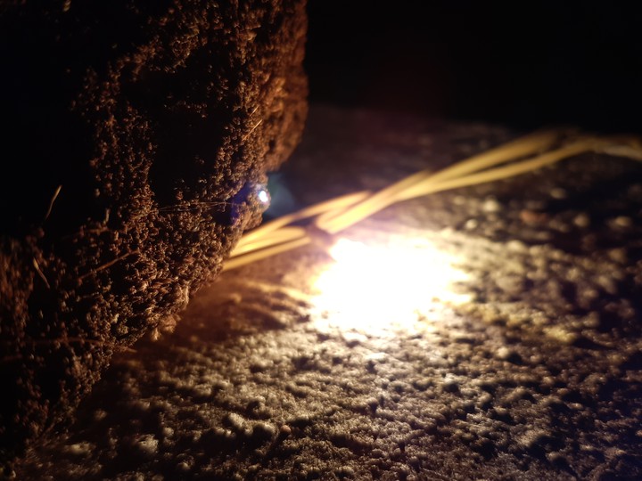 night effect