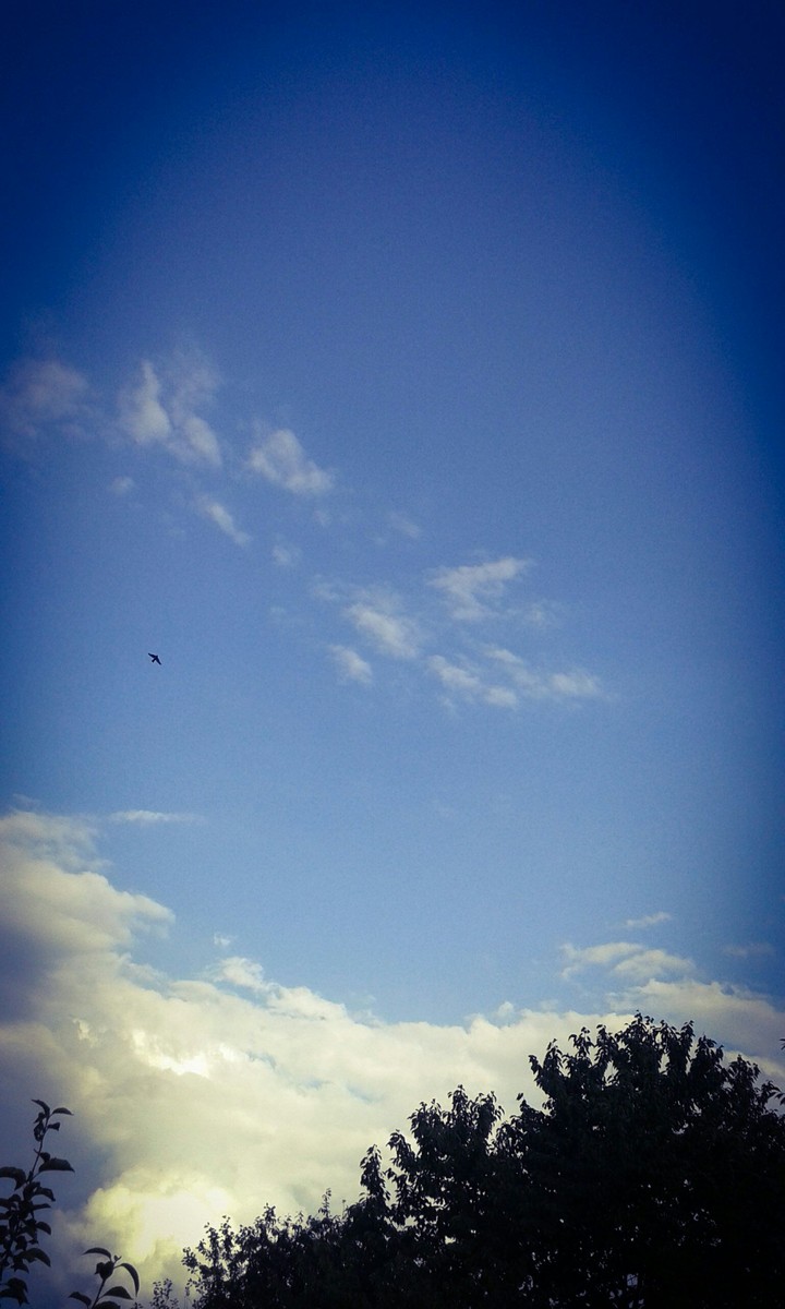 Sky.. Beautiful.