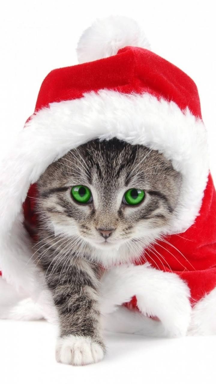 cute