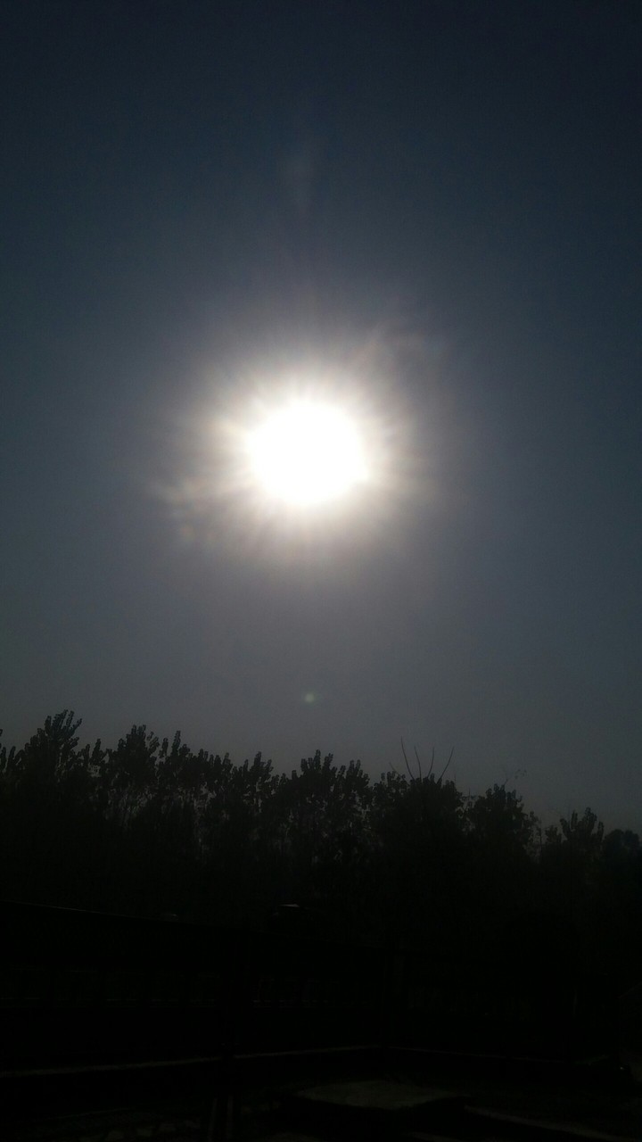 sunny