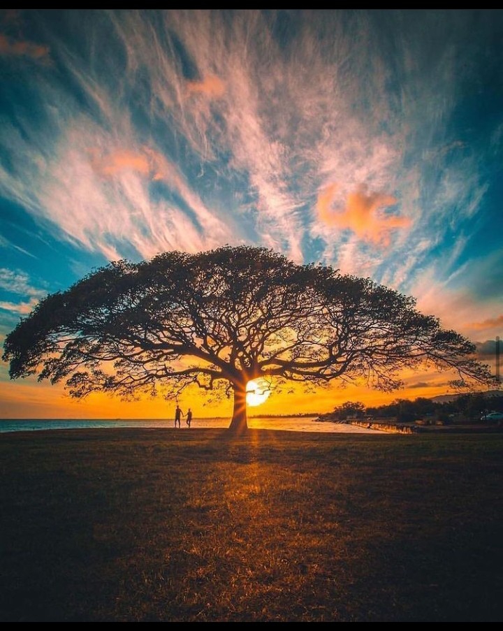 COASTLINE SUNSET