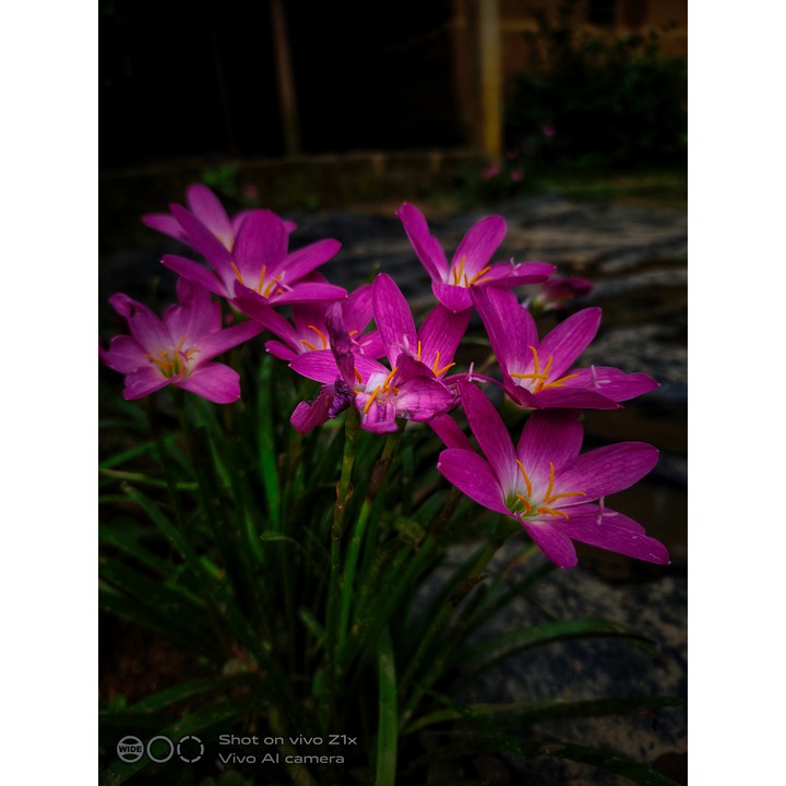 mrng click