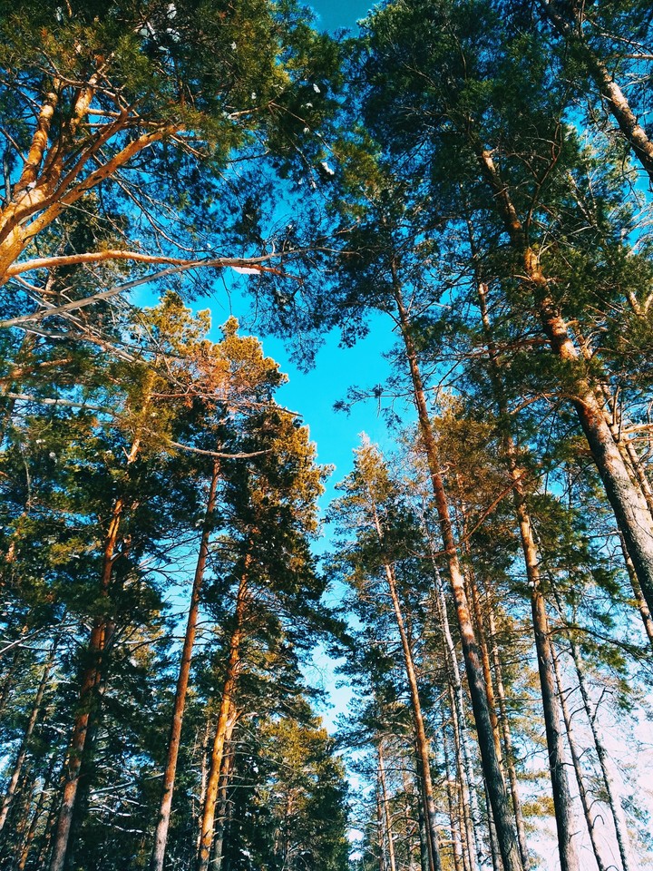 winter
