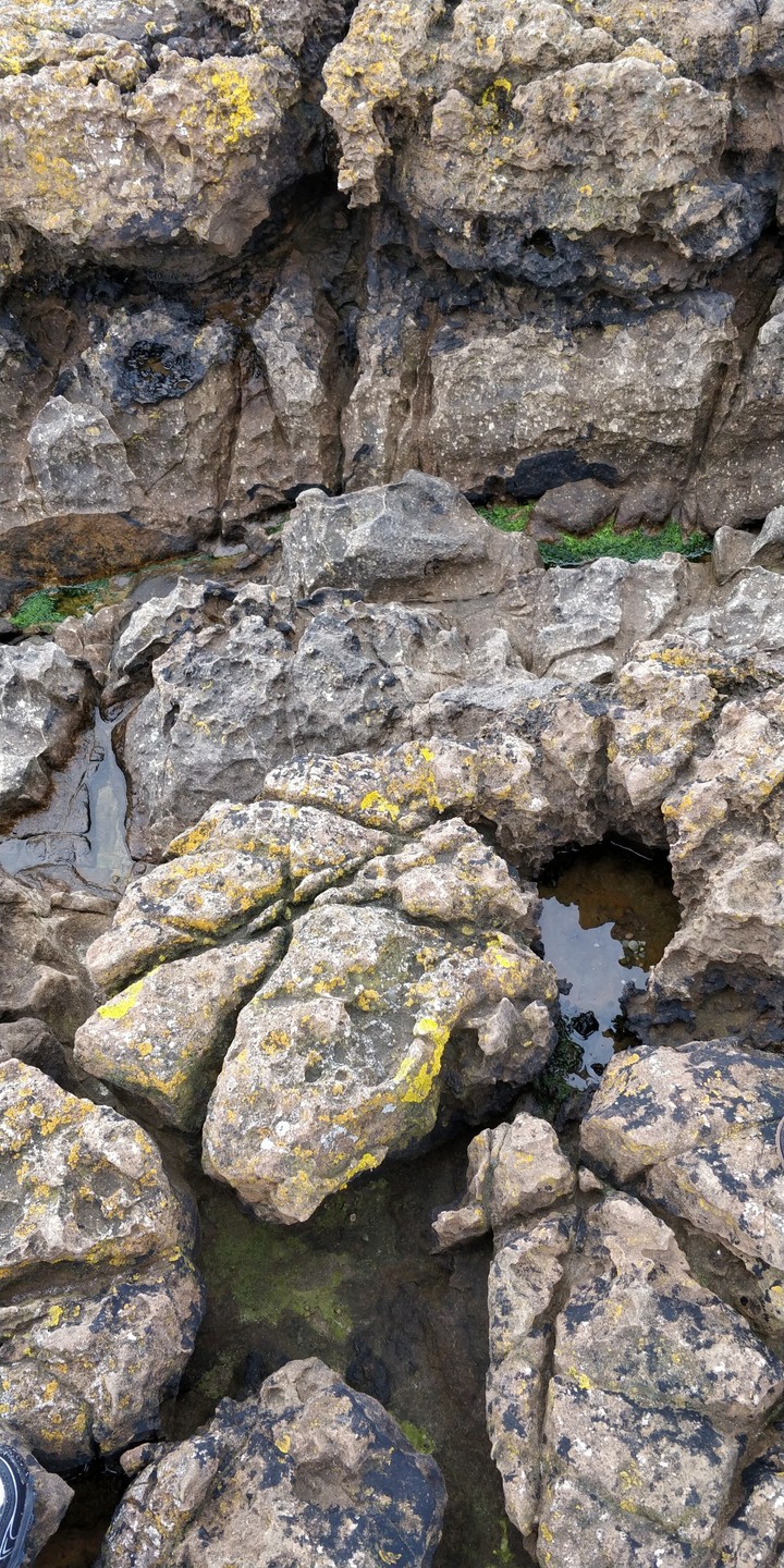 rock pool