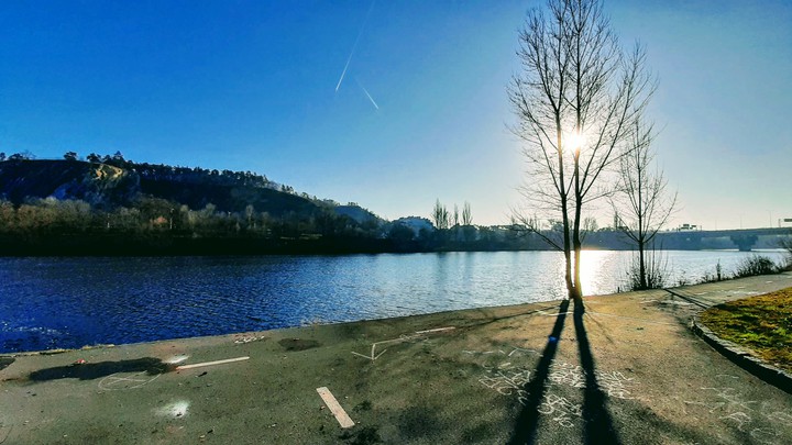 River and Tree's