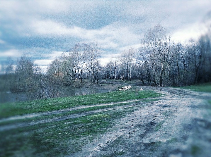 autumn