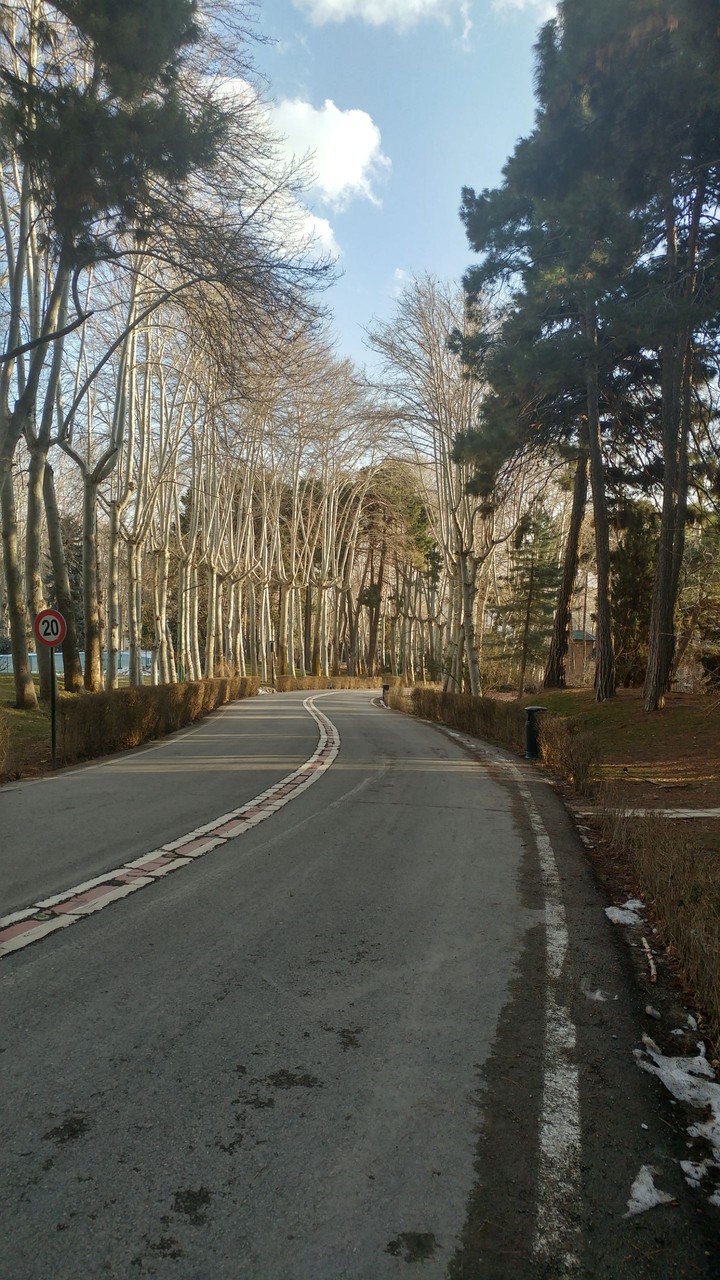 road to mountain