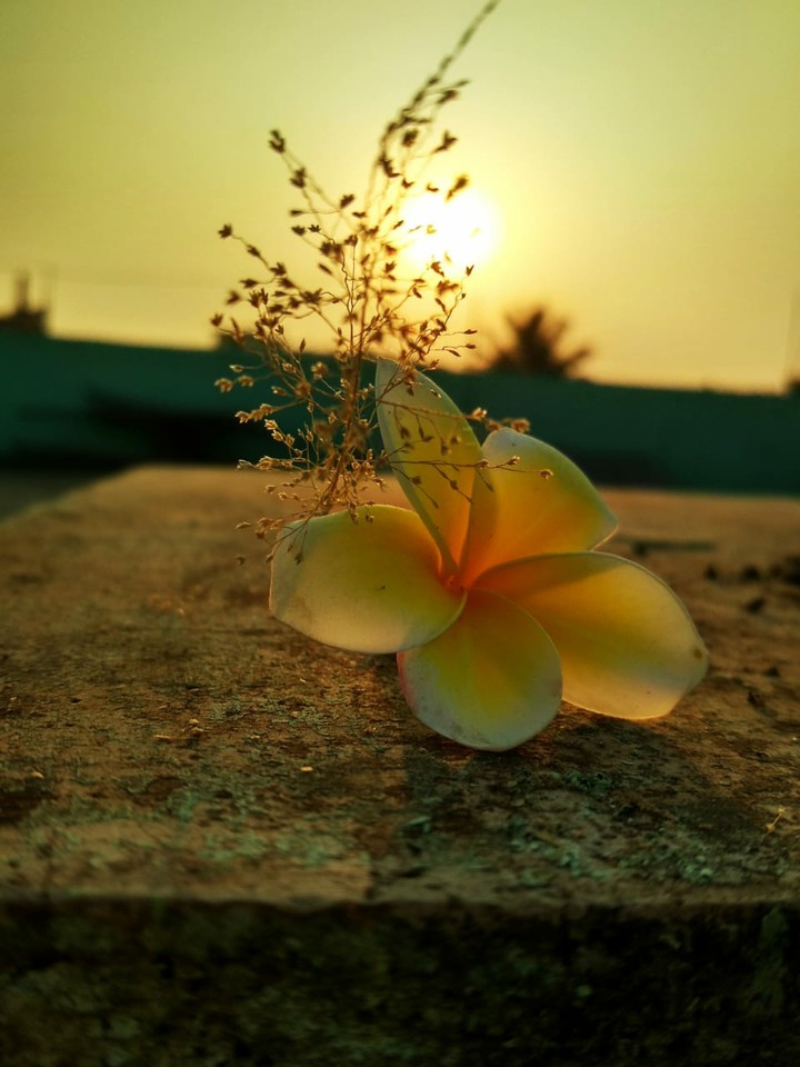 Dawn