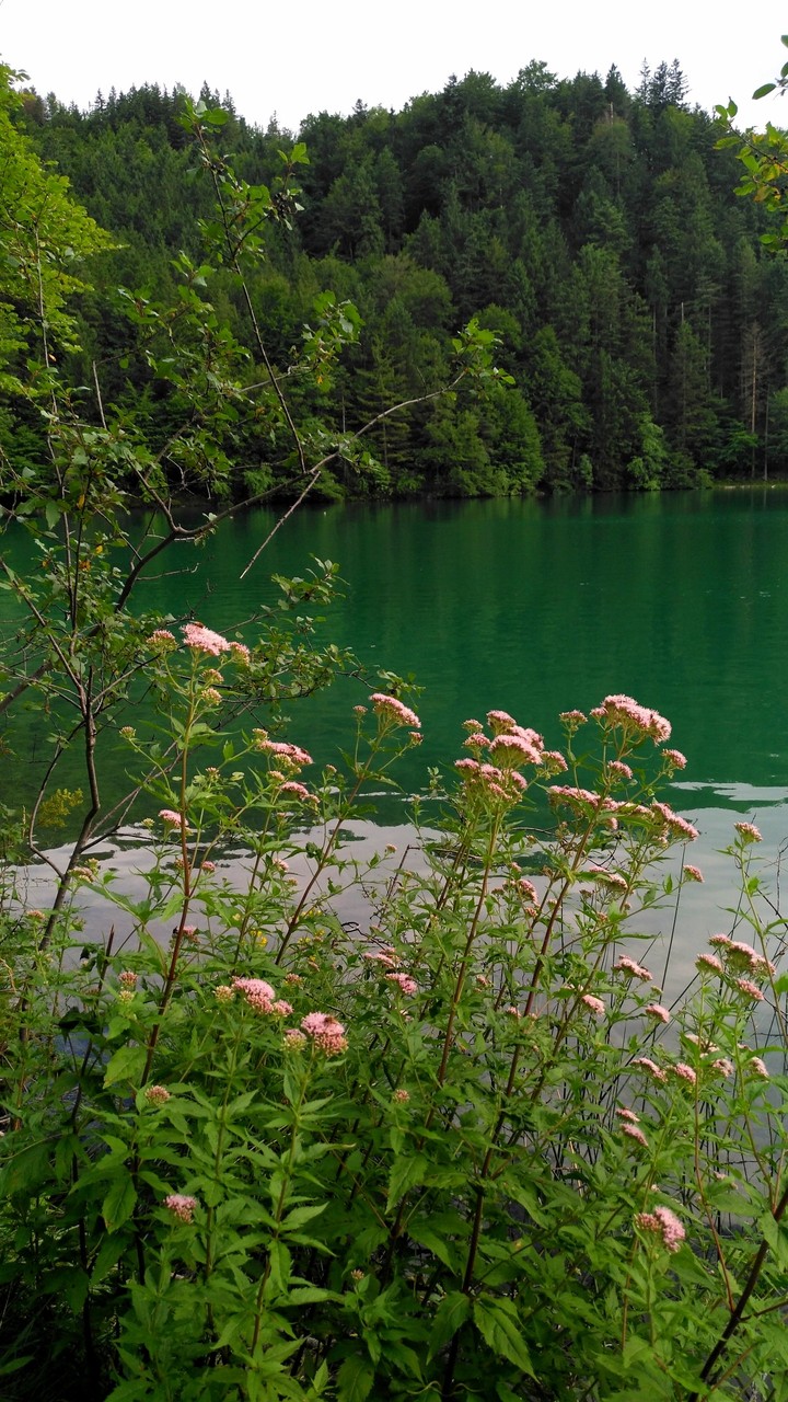 Alatsee, Bavaria