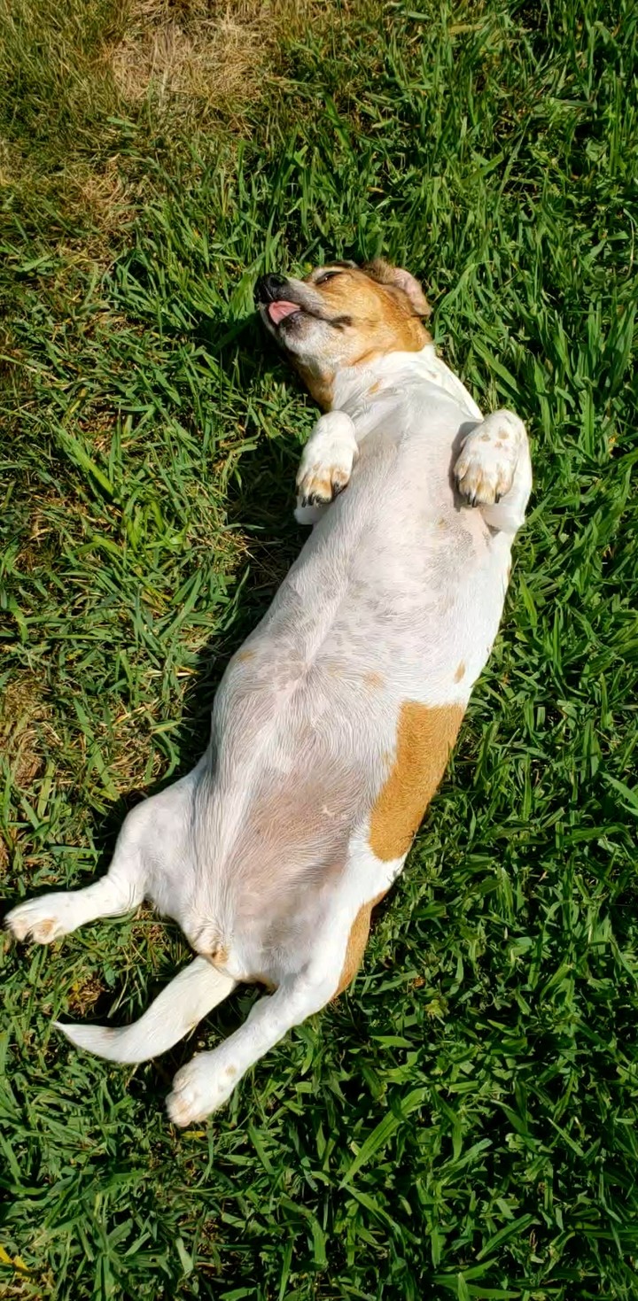 The Nap