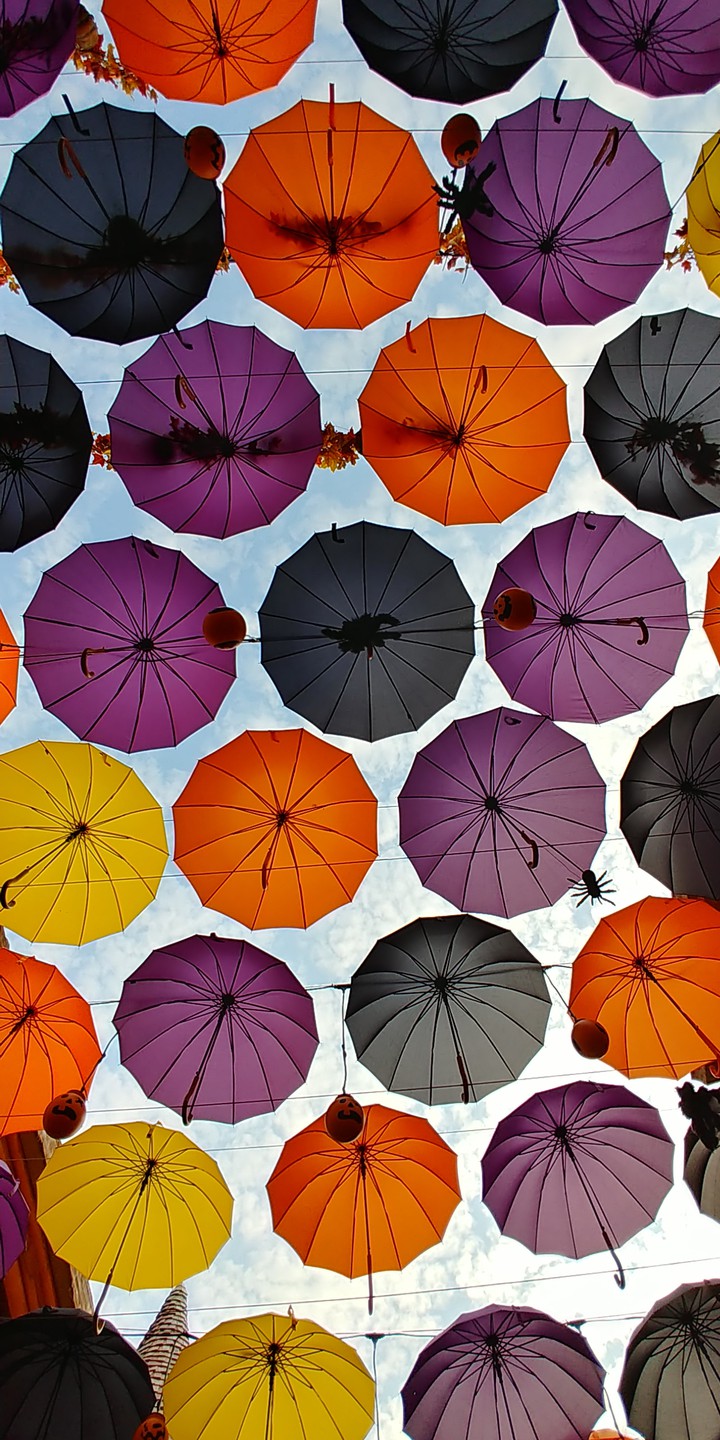 Umbrella Street v.2