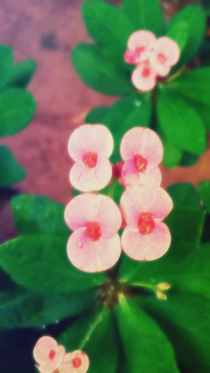 Nature's symmetry