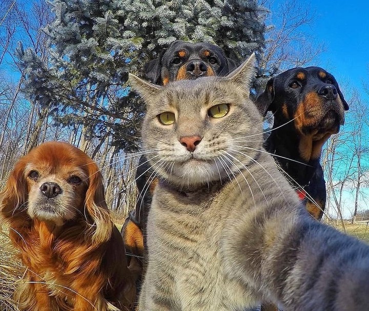 #selafie10