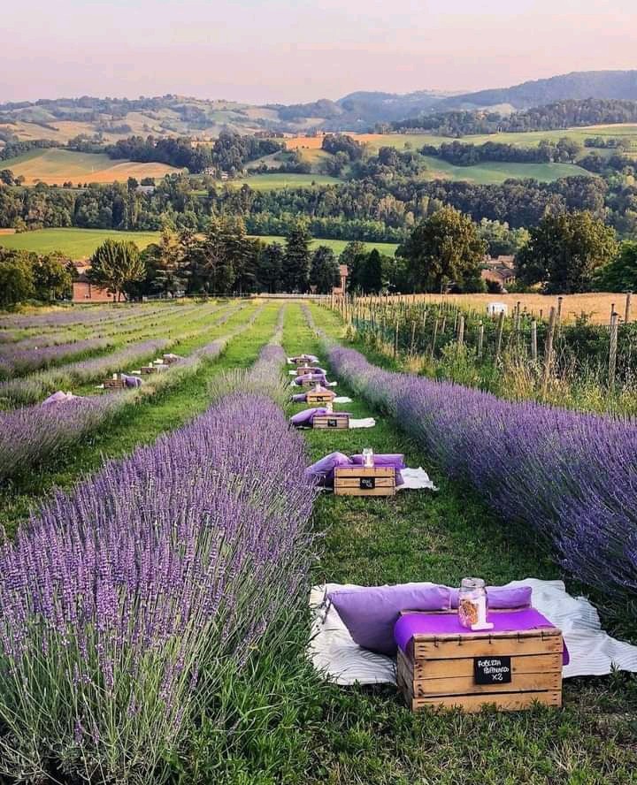 Provence ❤