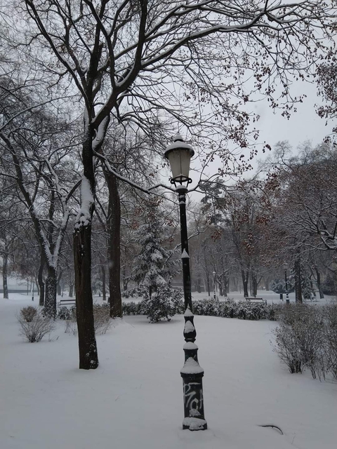 park