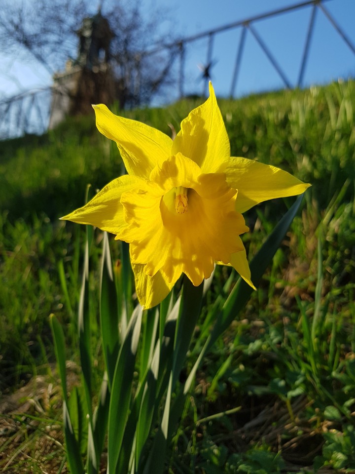 spring in gothenburg
