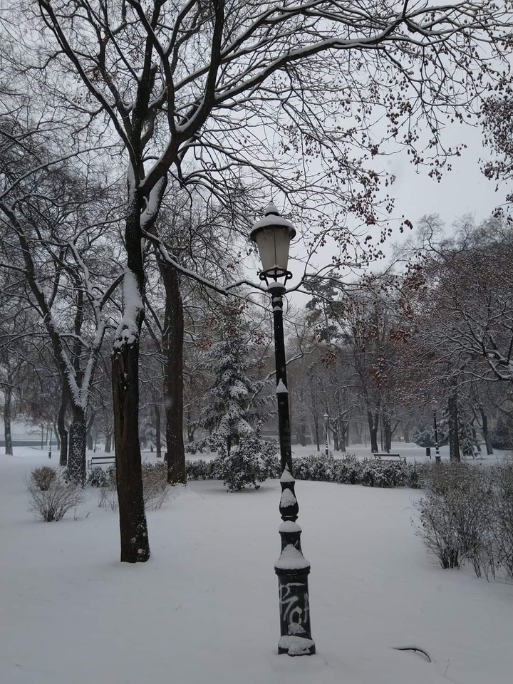 park