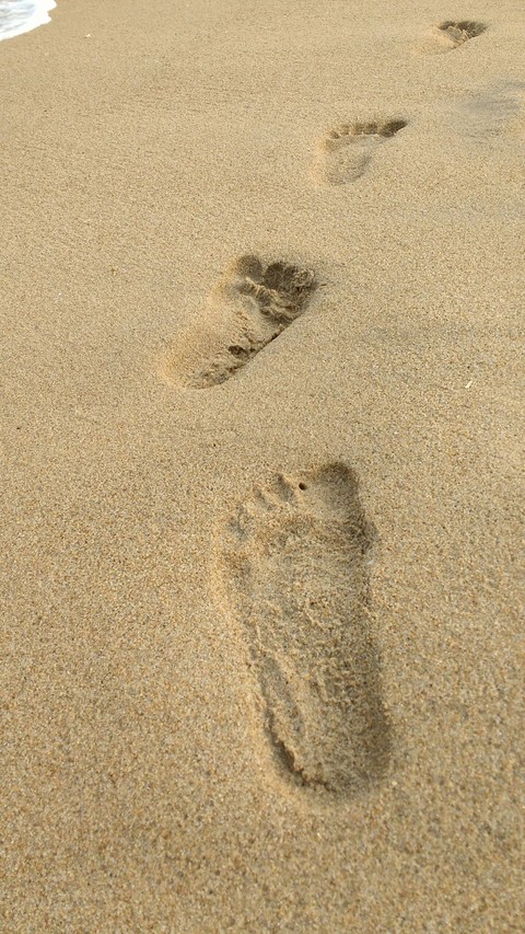 god's trace