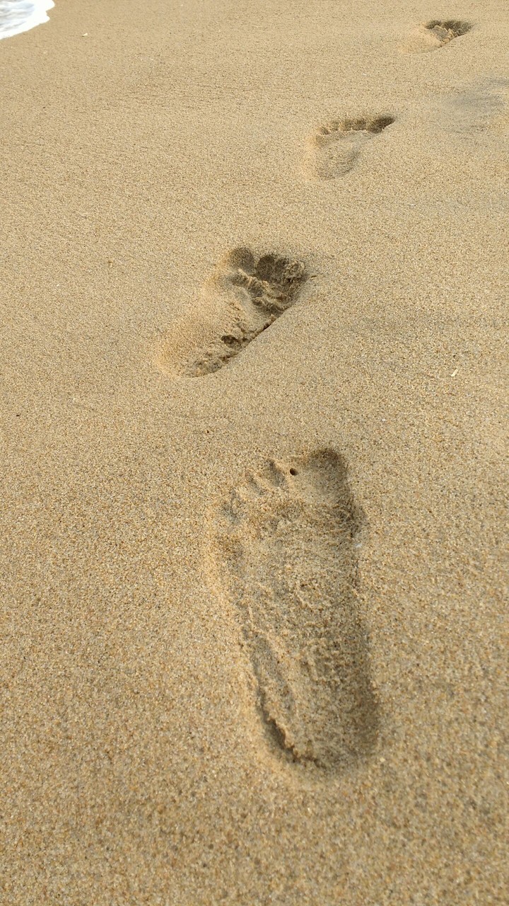 god's  trace
