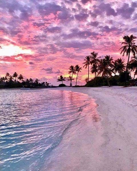 Colour