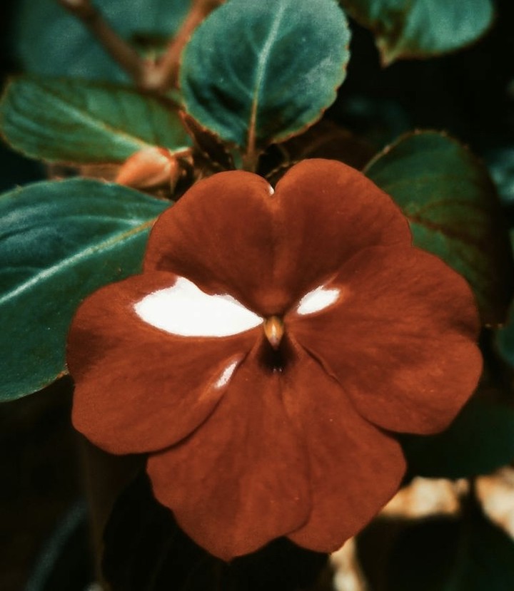 .