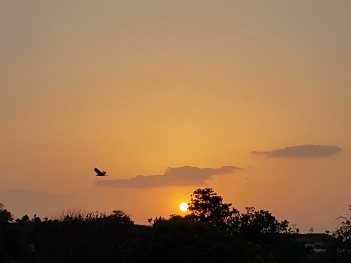 sunset