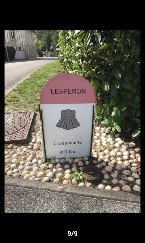 Chemin de Compostelle Dominique