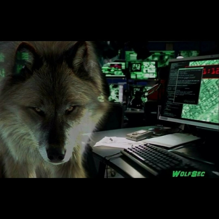 wolf sector
