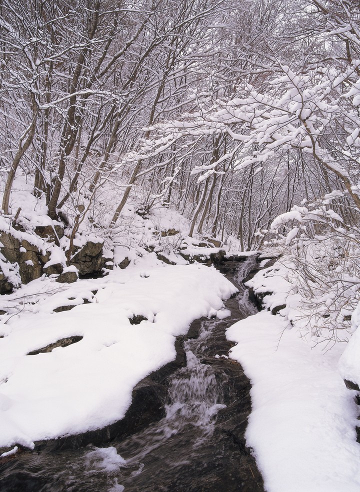 겨울의전경