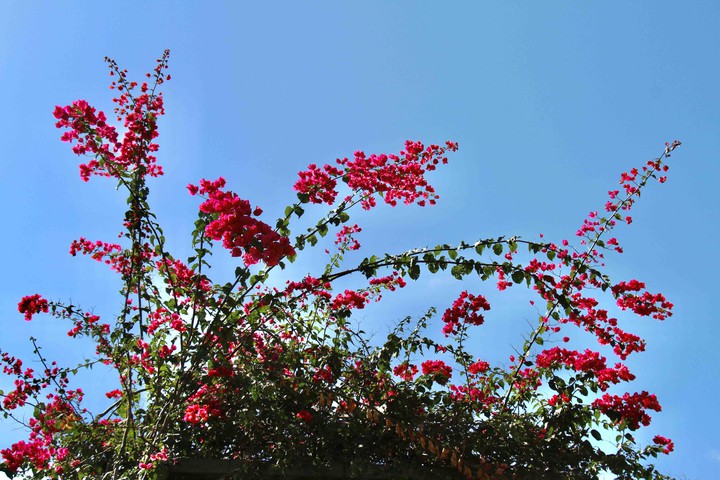 summer sky