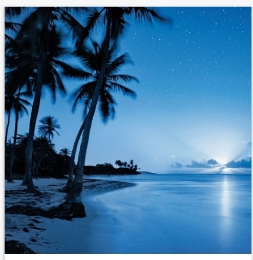 beach