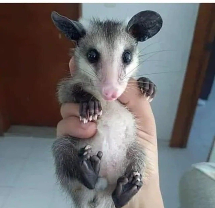 .