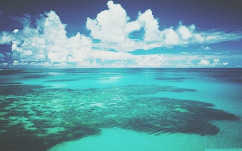 it about if you love the beach i once lived by the beach