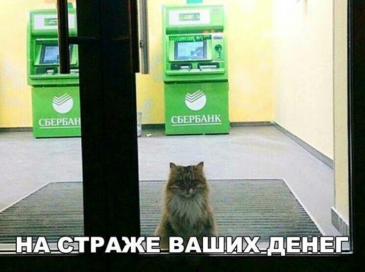 Ваш любимый сбербанк