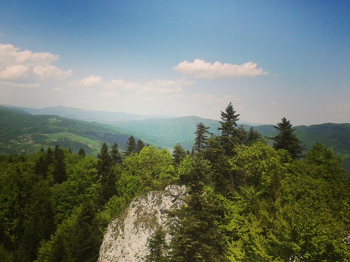 View