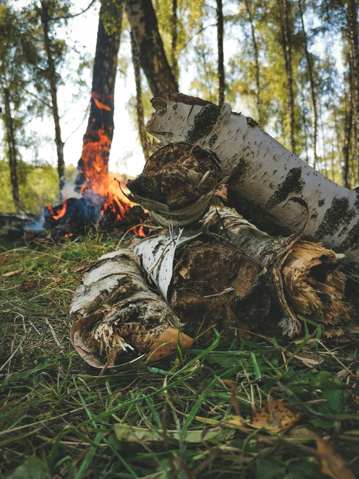 Лесная дымка